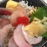 サカナスペース - 地魚丼