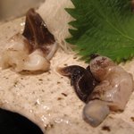 寿司寛 - とり貝