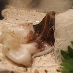 寿司寛 - 軽く炙った とり貝