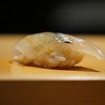 こま田 - サヨリ