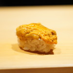 こま田 - ムラサキウニ