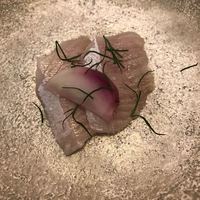 魚介のイタリア料理 murata - 