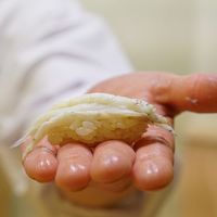 鮨 しゅん輔 阿佐ヶ谷 - 