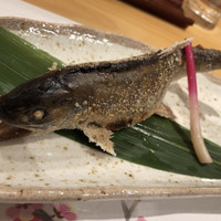 柳家錦 - 