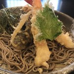 武蔵坊 - 海老天おろし蕎麦アップ