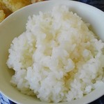 松の木 - うどん定食の半ライス。半ライスと言いながらお茶碗いっぱい。ふつうにライスの量