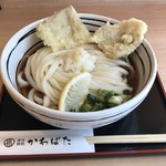 Sanuki Udon Kawabata - 豚天ぶっかけ850円（税込）　※うどんは特盛600g（無料サービス）