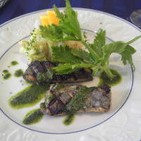 ラ･スコリエーラ - ランチ_メイン魚