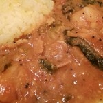 SPICY CURRY 魯珈 - 