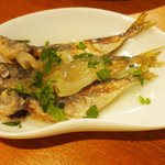 アンティカ オステリア マジカメンテ - 豆アジのインサオール