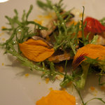 ダルマット - 黄色いのはボッタルガ（カラスミ）パウダー。