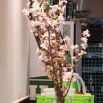 麺屋 六感堂 - お料理以外も季節感♪