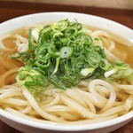 純手打ち讃岐うどん きむらや - あつあつ大　ネギ多め