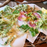 山ごぼう - 山菜とつばきの天ぷら