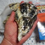 牡蠣小屋 住吉丸 - 