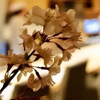 隠れ房 品川 四阿 - 