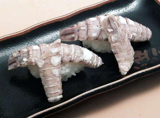 鱼心- 【春しゃこ子持ち】 垂れにぎり