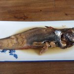 海膳 - どんこ煮魚