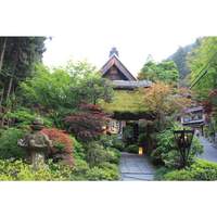 うかい鳥山 - 