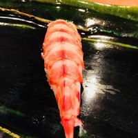 月の木 - 