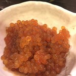 柳助 - これはかじかの子♪