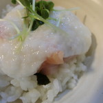 樹の下で - 