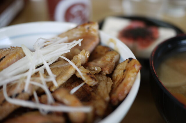 Tokachi Buta-don Ippin Obihiro Honten photo 4