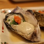 漁火 - 活セルガキ