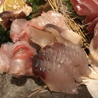 魚竹 - 