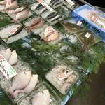 マルトモ水産 鮮魚市場 - 