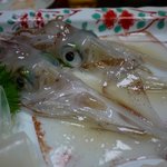 博多料亭 稚加榮 - 烏賊　は新鮮です