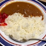 名代 富士そば - カレーライス