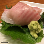 千陽 - 王鰈（ﾏﾂｶﾜｶﾞﾚｲ)