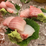 千陽 - 王鰈（ﾏﾂｶﾜｶﾞﾚｲ)