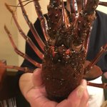 旬美にしかわ - 500ｇの伊勢海老