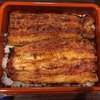うなぎ 魚政