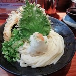 野菜天ぶっかけ（大盛・７４０円）