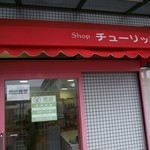 チューリップ - 