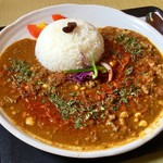 スプーンソング - ダルキーマカレー(1,000円)