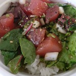 Maguro Spot - ポケボウル　中(18-02)