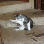 ギャラリー・エフ - お色気ショット