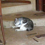 ギャラリー・エフ - 明日は雨？