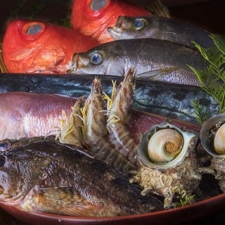 本当に旨い魚を食べてもらいたい！