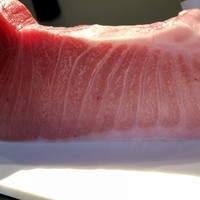 本まぐろ(トロ・中トロ・赤身)