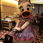 シェフ・ミッキー - デイジー