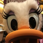 シェフ・ミッキー - デイジー