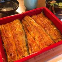 割烹 蒲焼 大沼 - 