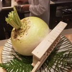 SUGALABO - 聖護院大根