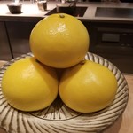 SUGALABO - 高知 白木果樹園 土佐文旦