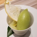 SUGALABO - 高知 白木果樹園 土佐文旦